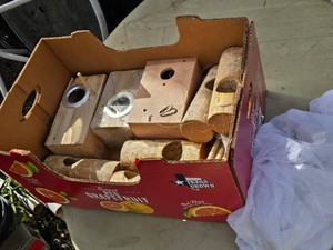 Birdhouse Nesting Box Set including Texas Grown Wooden Models and Materials