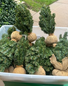 BRAND NEW 12 synthetic tree lot of 25