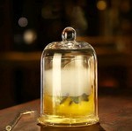 Drinking Glass with Cloche Cocktail Dome - Brand New
