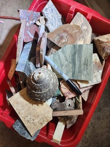 Assorted Rock, Mineral & Fossil Specimen Pieces Mixed Lot