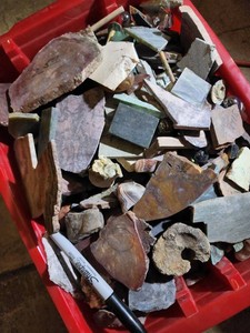 Mixed Rock & Mineral Specimen Collection