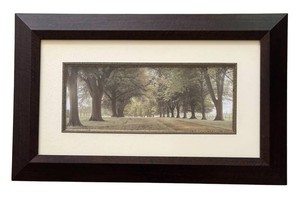 LL - Avenue of Trees Landscape Print