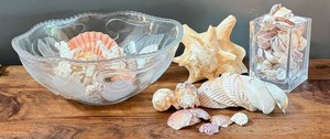 Seashell Decor - Sea Motif Glass Bowl & Shell-Filled Glass Vase Mixed Lot