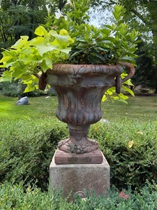 Garden Urn Planter - Ornate Cement Pillar & Terracotta Planter