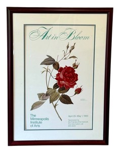 G - Vintage Framed Botanical Art Poster - Redoute Rosa Indica Cruenta