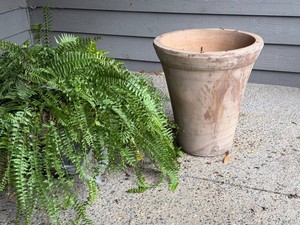 Outdoor Planter - Eschbach Tall Planter with Fern