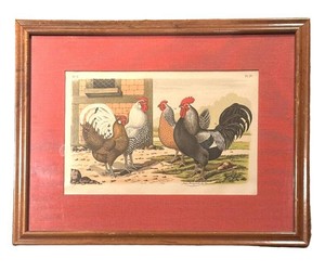 LLB - The Bird World Print by Jean Bungartz