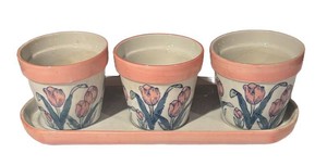 LLS4 - Tulip Planter Set