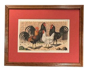 LLB - The Bird World Print by Jean Bungartz