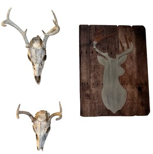 Antler Mounts & Wooden Wall Art
