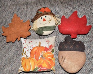 Fall & Autumn Pillows  Set of 5