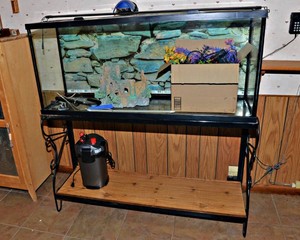 AquariumFish Tank with Stand & Accessories