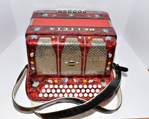 Delicia Favorit III Diatonic Button Accordion