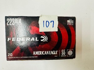 FEDERAL 223 REM - American Eagle FMJ - 55 gr