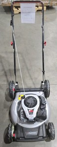 21 in. 140 cc Briggs and Stratton Walk Behind Gas Push Lawn Mower