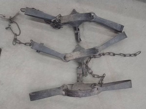 3 LG VICTOR LONG SPRING TRAPS