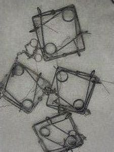 330 CONIBEAR TRAPS