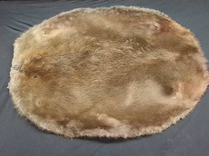 BEAVER PELT