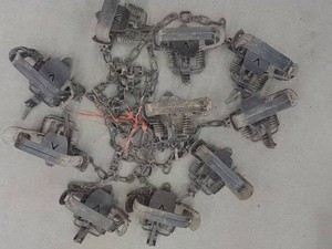 10 VICTOR COIL SPRING FOOTHOLD TRAPS
