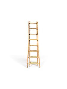 Wooden Leaning Ladder