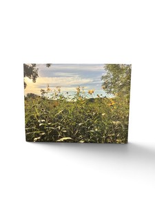 Canvas art