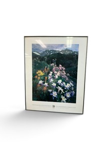 Framed Art work