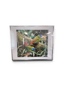 framed art