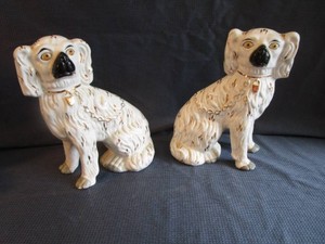 Staffordshire Spaniels