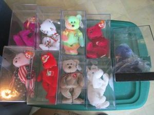 Ty Beanies In Cases