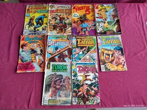 (10) Vintage Western & Tarzan Comics