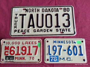 (3) Vintage License Plates