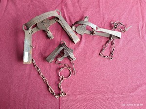(3) Vintage Metal Animal Traps