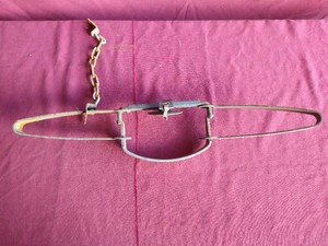 Vintage Bridger Special Double Long Spring Trap