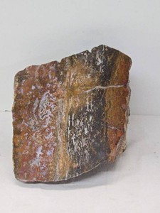 Polished Petrified Wood Freeform Display Specimen Natural Fossil Slice