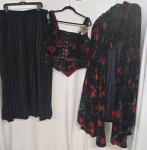 3-Piece Renaissance Costume Rose Print Silk Velvet Skirt Bodice Top & Matching Cape