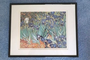 Vincent Van Gogh Irises Framed Art Print