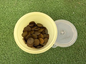 Canadian Pennies