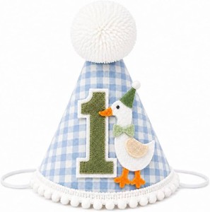 One Funny Goose Birthday Hat - Goose 1st Birthday Decorations