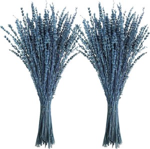 Uieke Dried Lavender Flowers, 16 Preserved Dried Lavender Bundles Blue Flowers Stems Bouquet for Shower Weeding Home Fragrance Vase Crafts Decor, 100g(3.52oz)