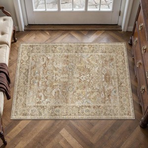 Washable 2x3 Area Rug for Entryway Small Rug for Entry