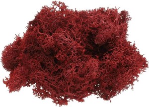 uxcell Preserved Reindeer Moss, 4 OZ Fake Moss for Crafts Artificial Dried Moss for Decoration, Craft, Terrariums, Potted Plants, Centerpieces Fairy Gardens (Dark Red)