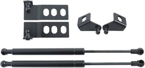 $26 labwork 2pcs Engine Hood Lift Support Shock Strut Damper Replacement for RAV4 2019-2020