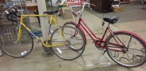 Schwinn Breeze & Bottecchia Bicycles