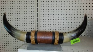 Decorative Longhorn Bull Horn Wall Display