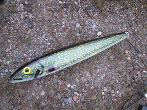 26 Rapala record holder Fishing lure