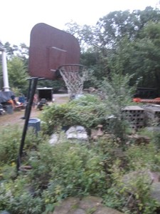 Basketball hoop in a sturdyetal stand