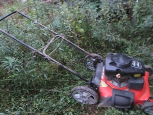 Kohler pugh mower