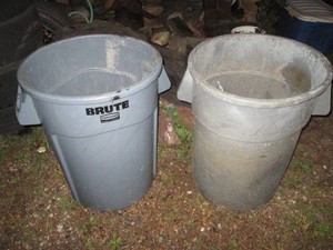 Pair of Brute trash cans