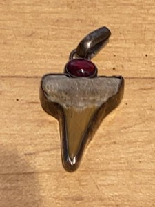 Sterling Silver Shark Tooth Pendant Red Cabochon Stone Approx 1.5in