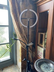Unbranded LED Floor Ring Light w Side Lamps & Phone Holder Black